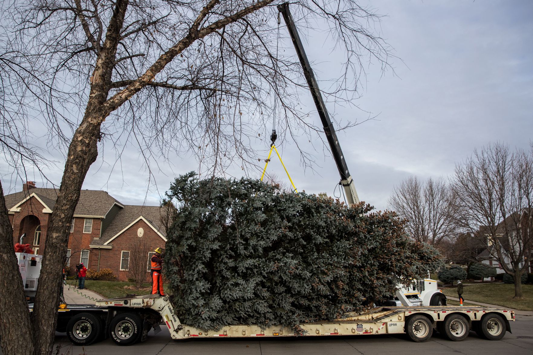 The Durham Museum's 2019 Christmas tree
